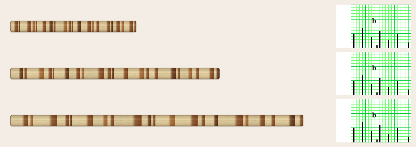 Three cores with the same pattern of wide and narrow rings but different growth rates, each giving the same skeleton plot