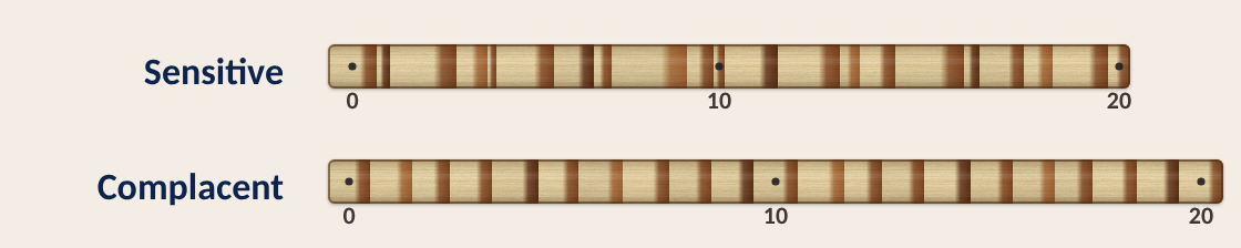 A sensitive core with wide and narrow rings mixed, above a complacent core whose rings are all much the same width